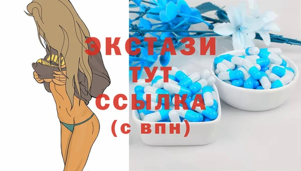 МДПВ Вяземский