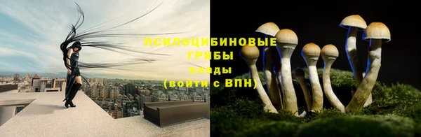 меф Горняк