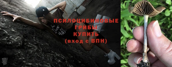 мдпв Горнозаводск